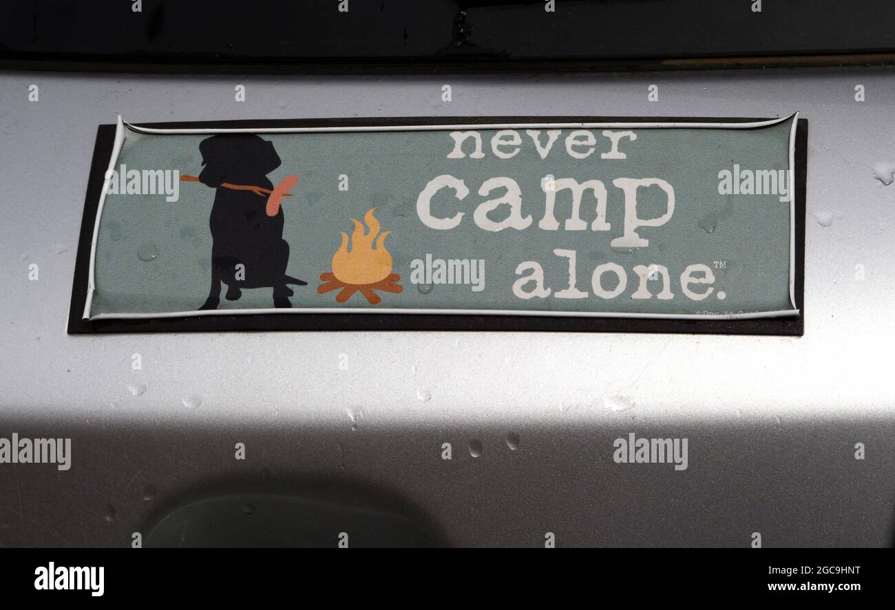 Un adesivo paraurti su un'auto appartenente a un proprietario di cani parcheggiato a Santa Fe, New Mexico. Foto Stock