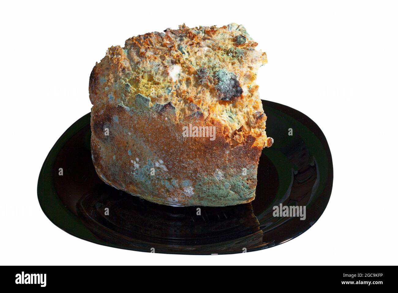 pezzetto di pane ammuffito su piatto scuro, fondo bianco isolato Foto Stock