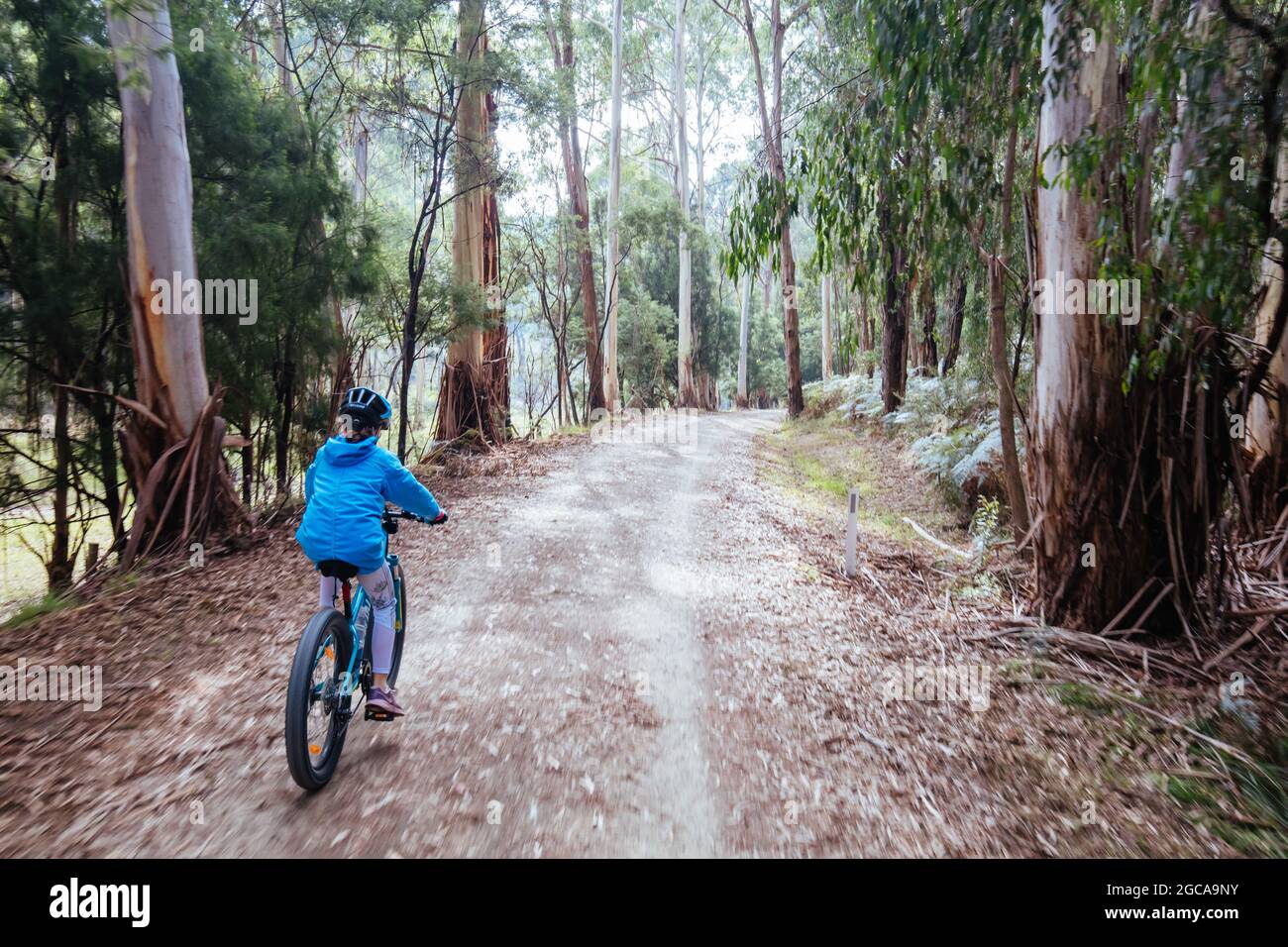 Un bambino pedalerà alla velocità del monte Evelyn sulla popolare pista ferroviaria di Lilydale a Warburton in un caldo giorno d'autunno a Victoria, Australia Foto Stock