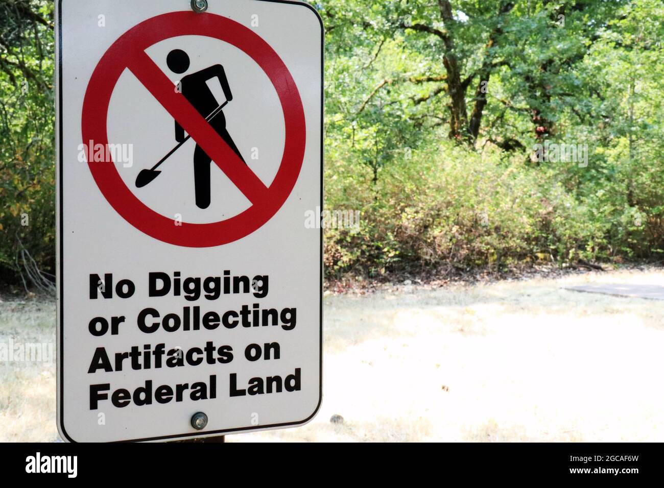 Segno che recita "No Digging or Collecting Artifacts on Federal Land" Foto Stock