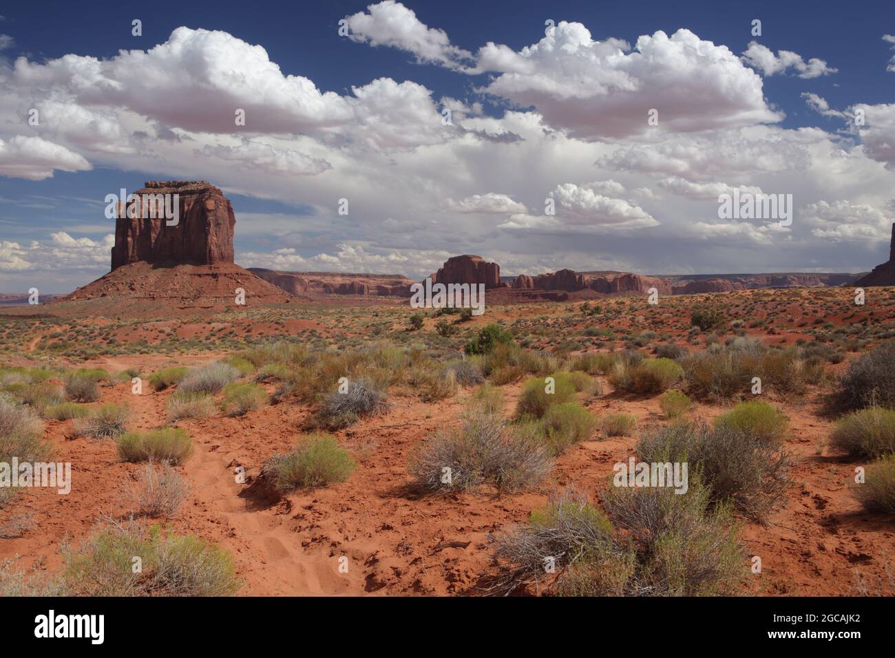 Pietra arenaria rossa Merrick Butte e scogliere nel Monument Valley Navajo Tribal Park con piante ecosistema in primo piano Foto Stock