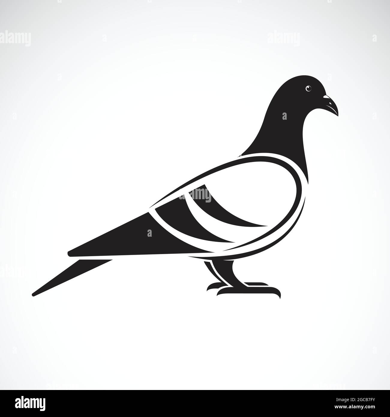 Vettore di un disegno di piccione su sfondo bianco. Uccello. Animali. Illustrazione vettoriale. Illustrazione vettoriale a livelli facilmente modificabile. Animali selvatici. Illustrazione Vettoriale