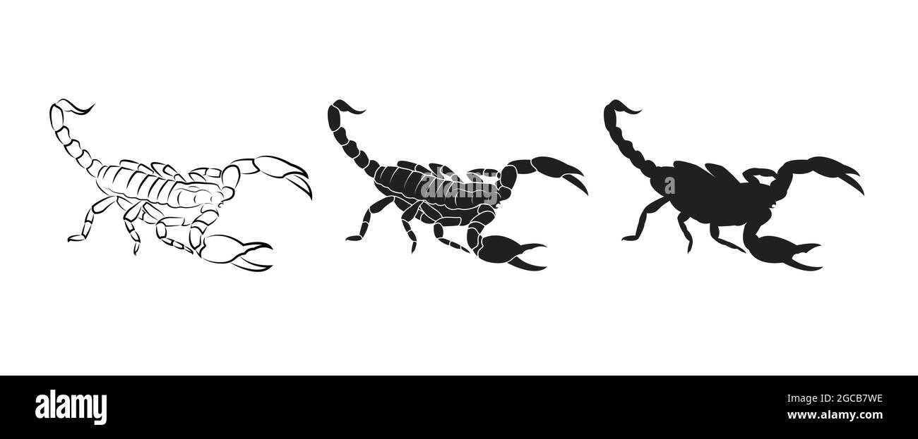 Vettore di scorpioni isolato su sfondo bianco. Insetto. Animale. Logo o icona Scorpions. Illustrazione vettoriale a livelli facilmente modificabile. Illustrazione Vettoriale