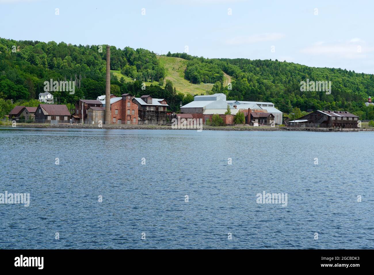 Scriciolatrice di rame Quincy Foto Stock