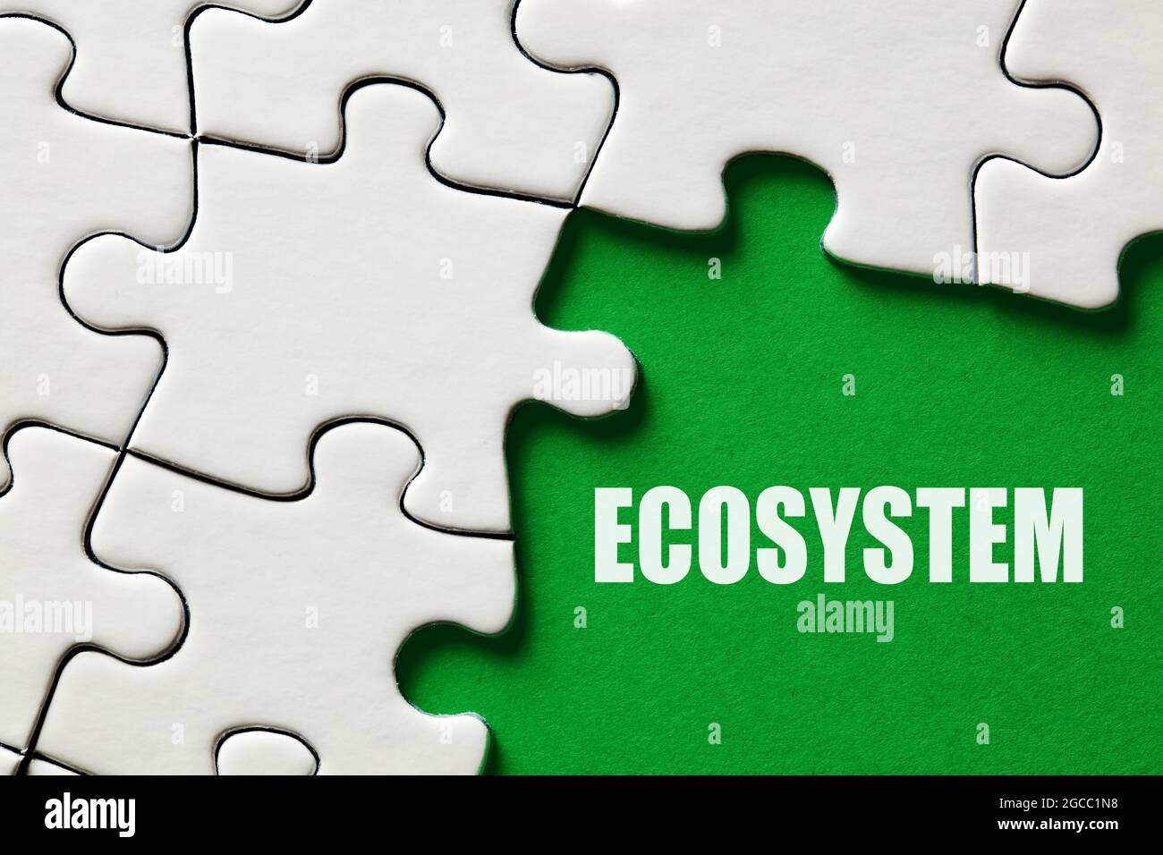 L'ecosistema di parola su sfondo verde circondato da pezzi di puzzle. Concetto di conservazione ambientale. Foto Stock