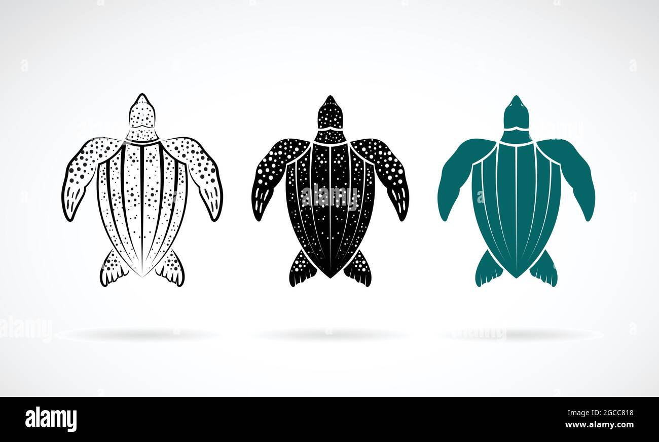 Vettore di disegno tartaruga di uva spina su sfondo bianco. Animali di mare. Illustrazione vettoriale a livelli facilmente modificabile. Illustrazione Vettoriale