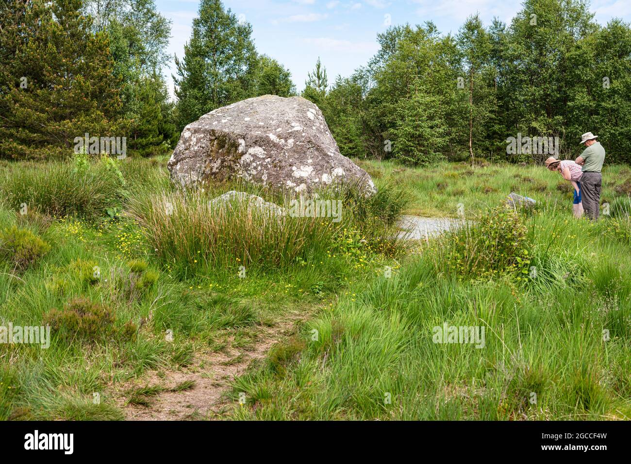 Turisti che guardano la pietra di Bruce a Loch Clatteringshaws, Dumfries e Galloway, Scozia Foto Stock