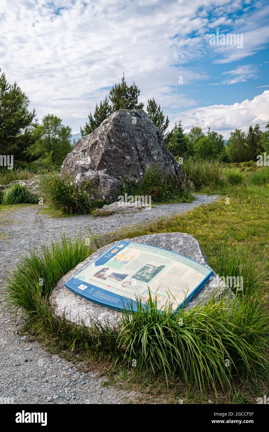 Bruce's Stone and Information Sign a Loch Clatteringshaws, Dumfries e Galloway, Scozia Foto Stock