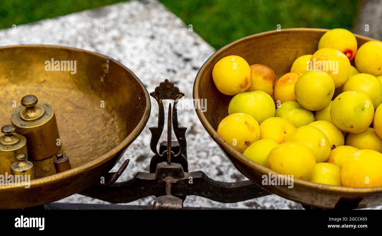 equilibrare le prugne di pesatura Foto Stock