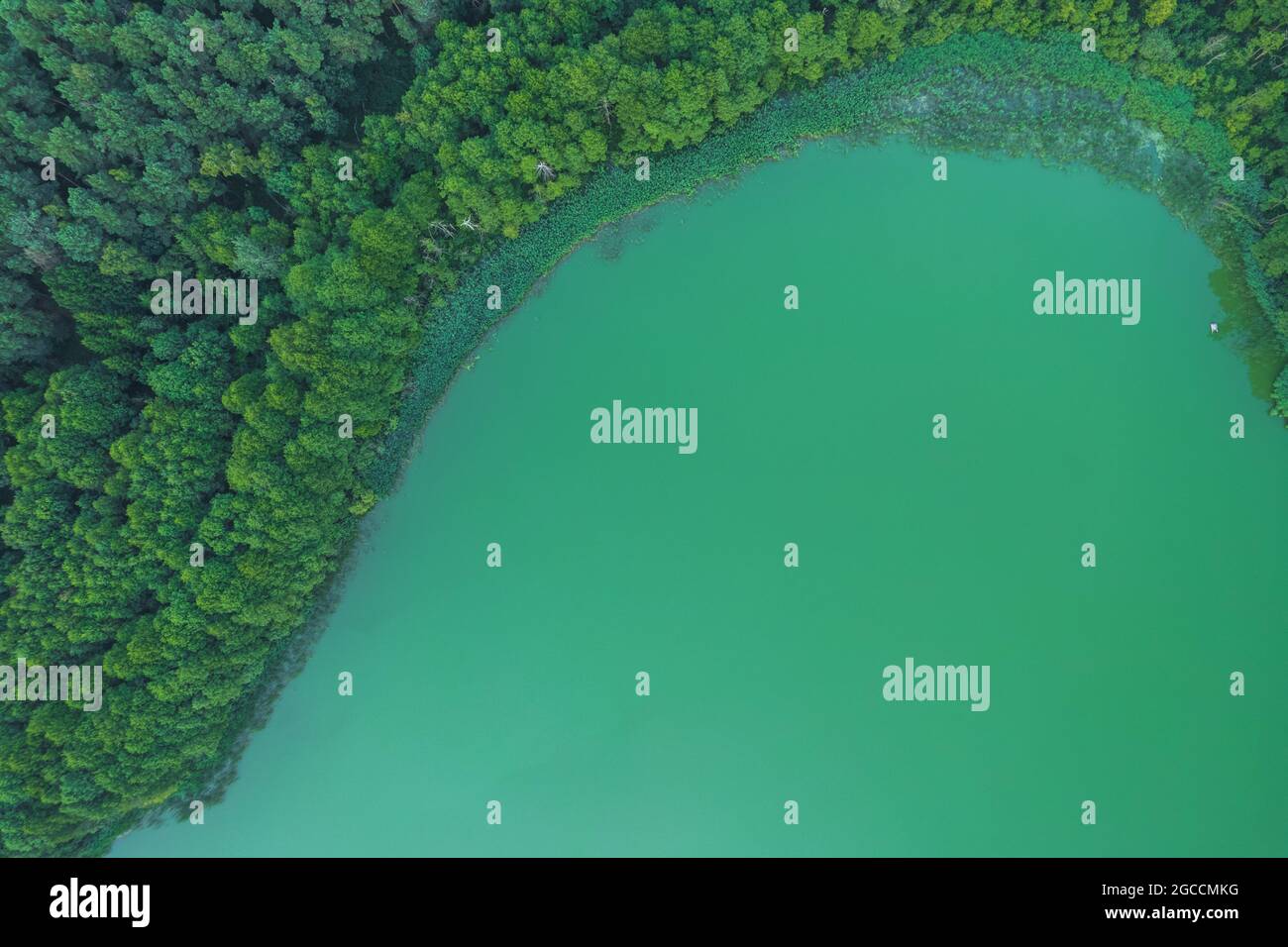 Vista dall'alto sul lago d'acqua verde Foto Stock