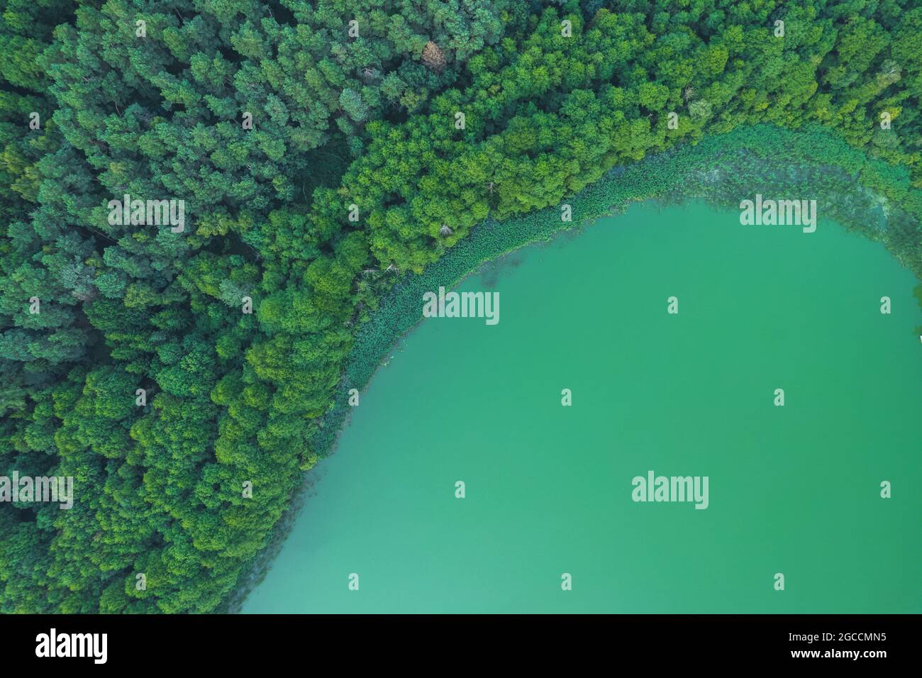 Vista dall'alto sul lago d'acqua verde Foto Stock