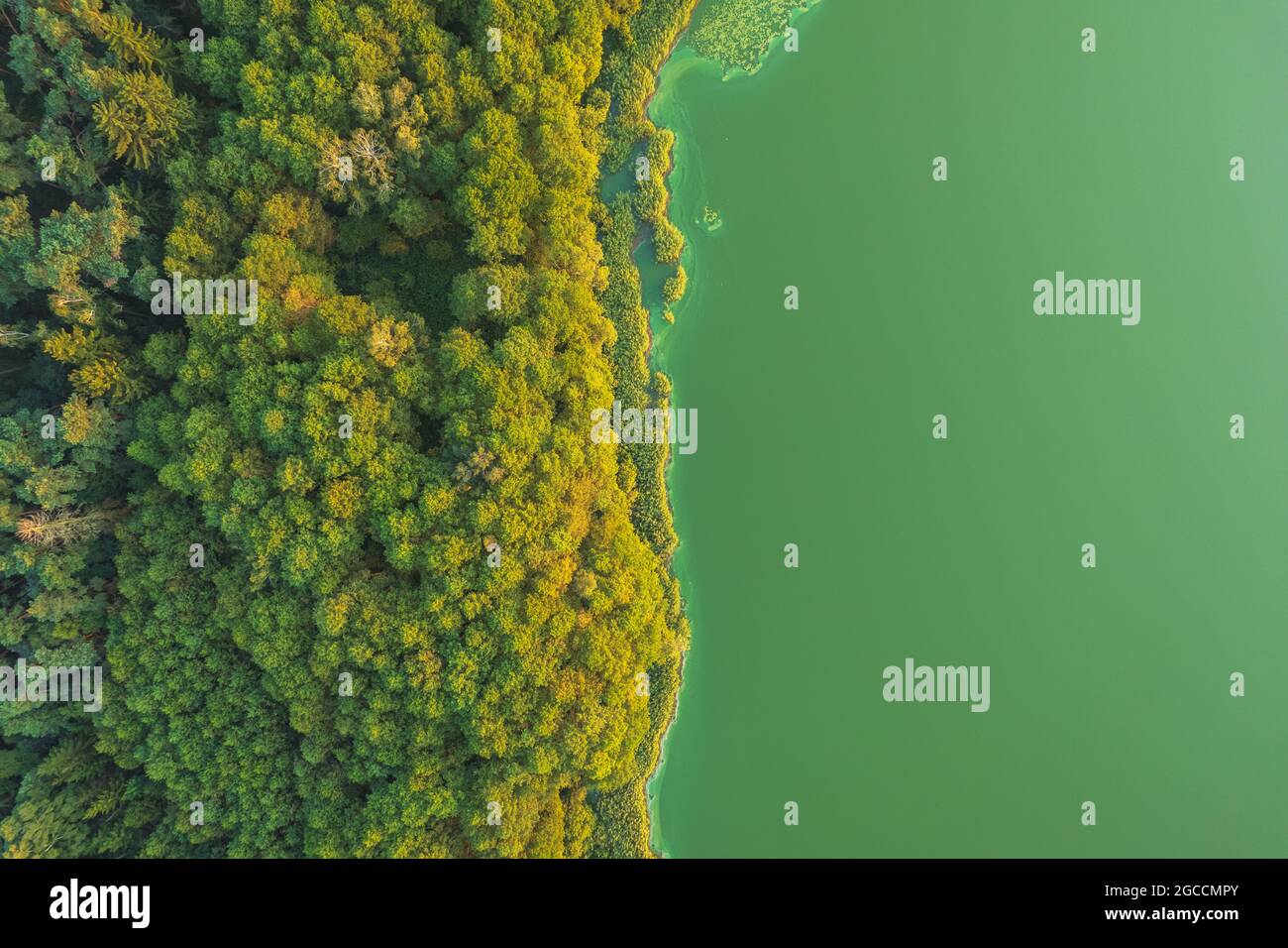 Vista dall'alto sul lago d'acqua verde Foto Stock