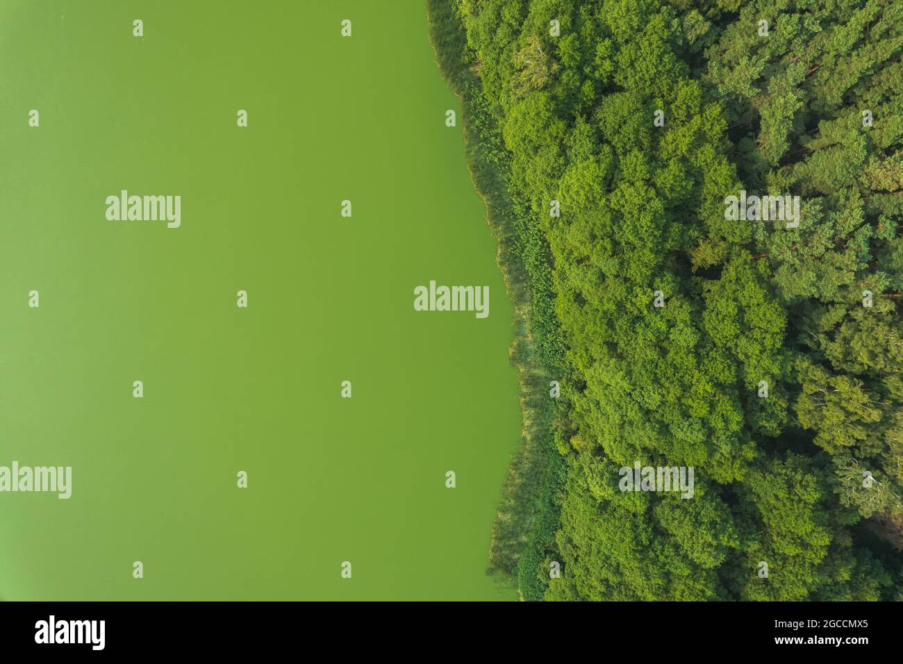 Vista dall'alto sul lago d'acqua verde Foto Stock