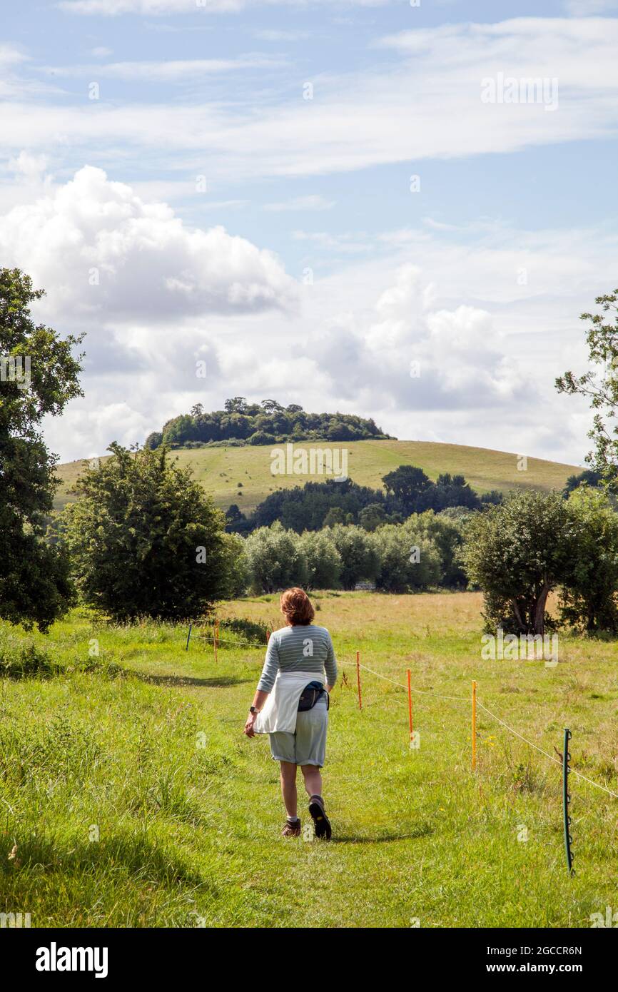 Donna che cammina lungo il fiume Tamigi lunga distanza sentiero che si avvicina ai clumps di Wittenham nella zona rurale dell'Oxfordshire Foto Stock
