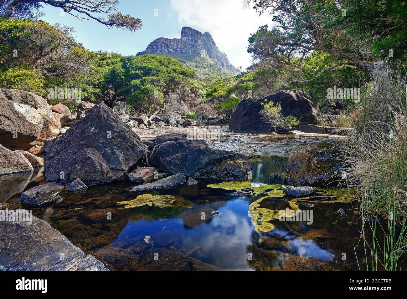 un fiume roccioso con alberi sul lato di una montagna Foto Stock