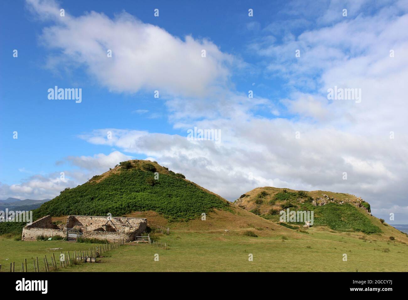 Le due spine vulcaniche di Vordre - il luogo per il castello medievale di Deganwy una prima roccaforte di Gwynedd che si trova alla foce del fiume Conwy, Galles Foto Stock