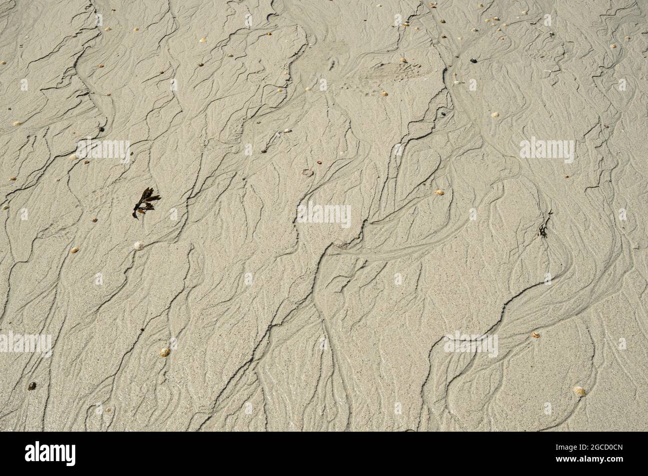 Motivi di sabbia naturali creati dal drenaggio dell'acqua sulla spiaggia scozzese Foto Stock