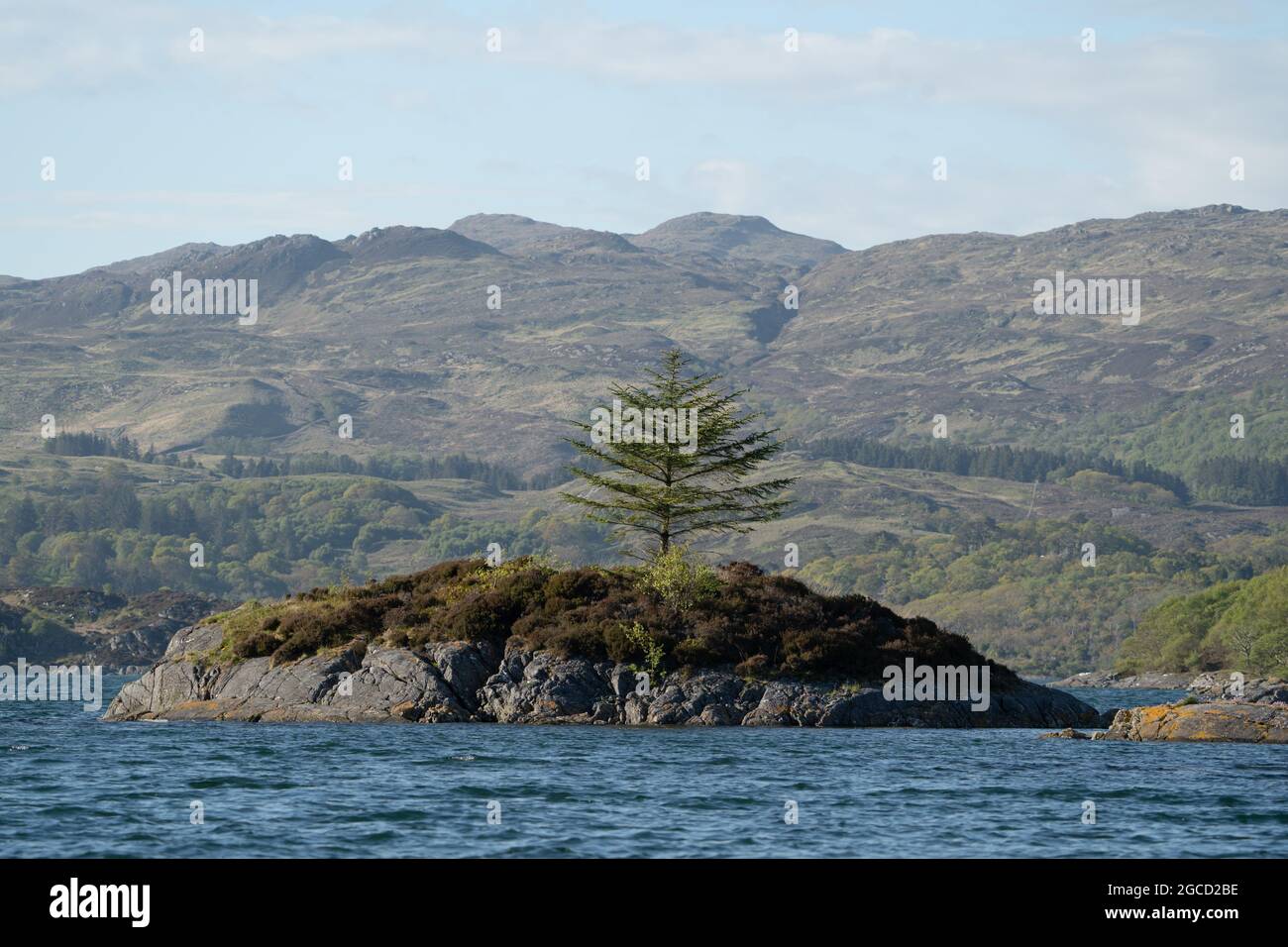 Isolotto roccioso con albero solitario nel lago delle Highland scozzesi con montagne oltre Foto Stock