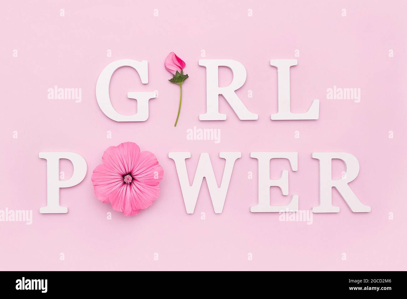 Potenza della ragazza. Citazione motivazionale da lettere bianche e fiori naturali di bellezza su sfondo rosa. Donne, concetto creativo di potere. Foto Stock