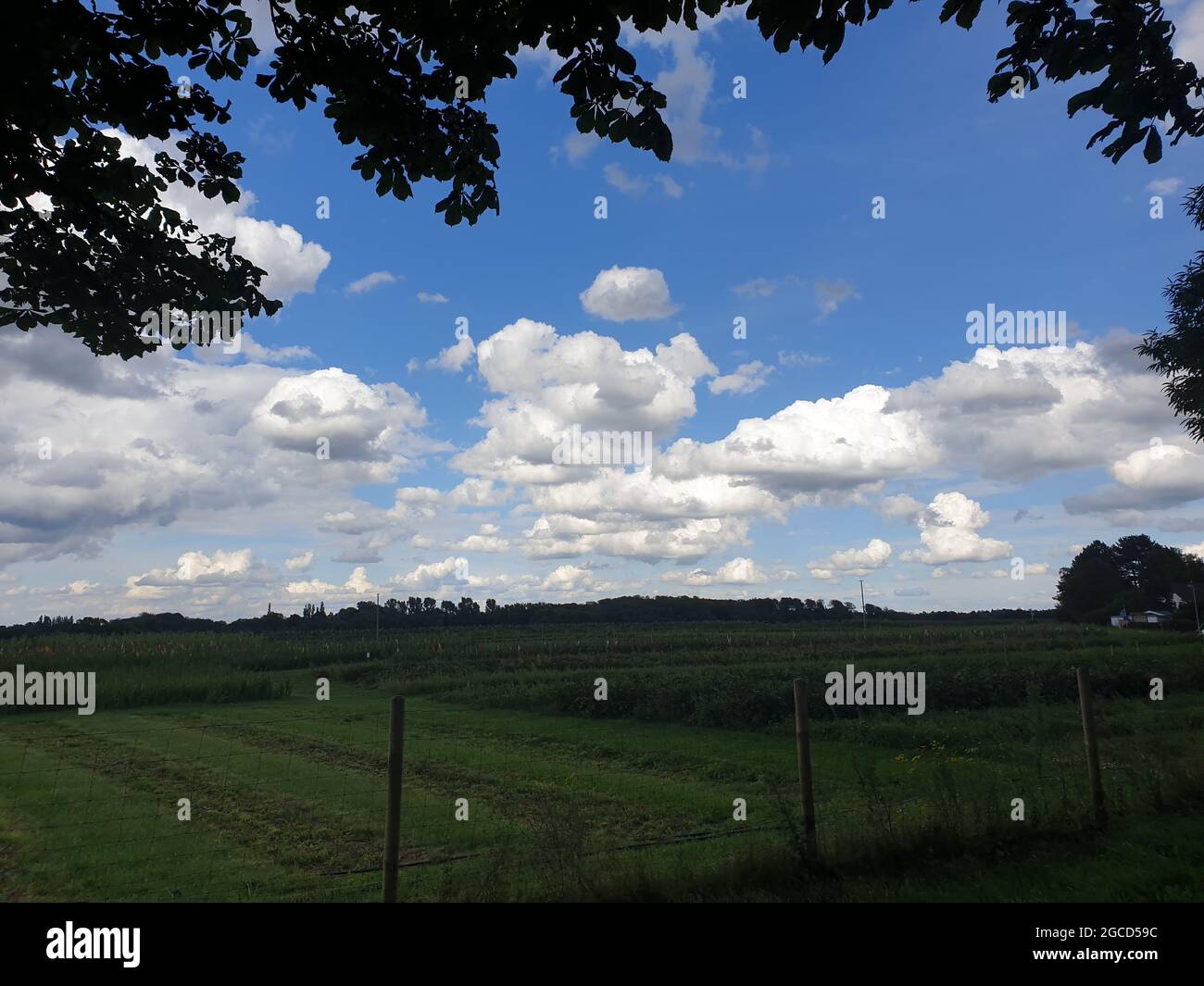 Area di protezione del paesaggio a Mülheim, Germania Foto Stock