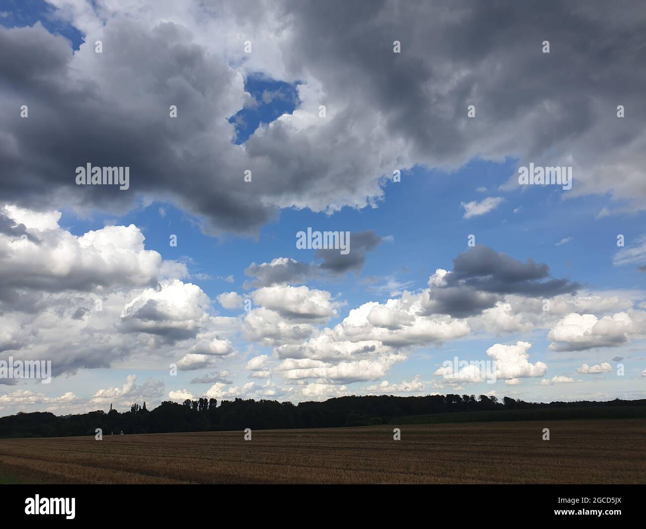 Area di protezione del paesaggio a Mülheim, Germania Foto Stock