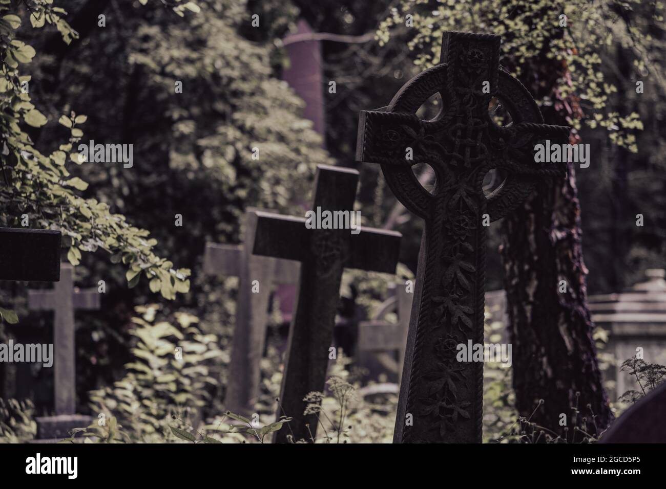 Lapide celtica ornata nello storico cimitero londinese circondato da fogliame Foto Stock