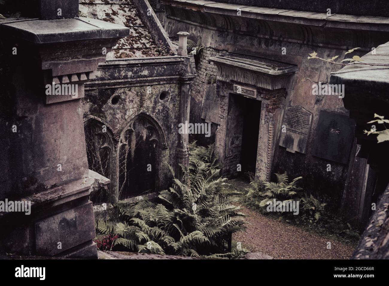 Cimitero storico vittoriano con tombe e felci che crescono tra le lapidi Foto Stock