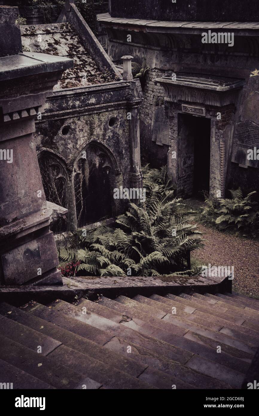 Monumenti del cimitero vittoriano con felci che crescono tra tombe in pietra intemperie Foto Stock
