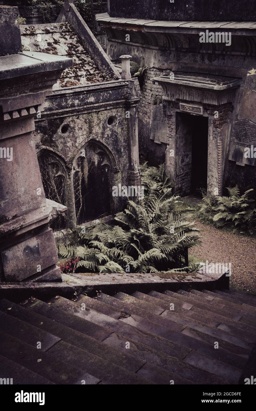 Tombe in stile neogotico vittoriano con felci che crescono nello storico cimitero londinese Foto Stock