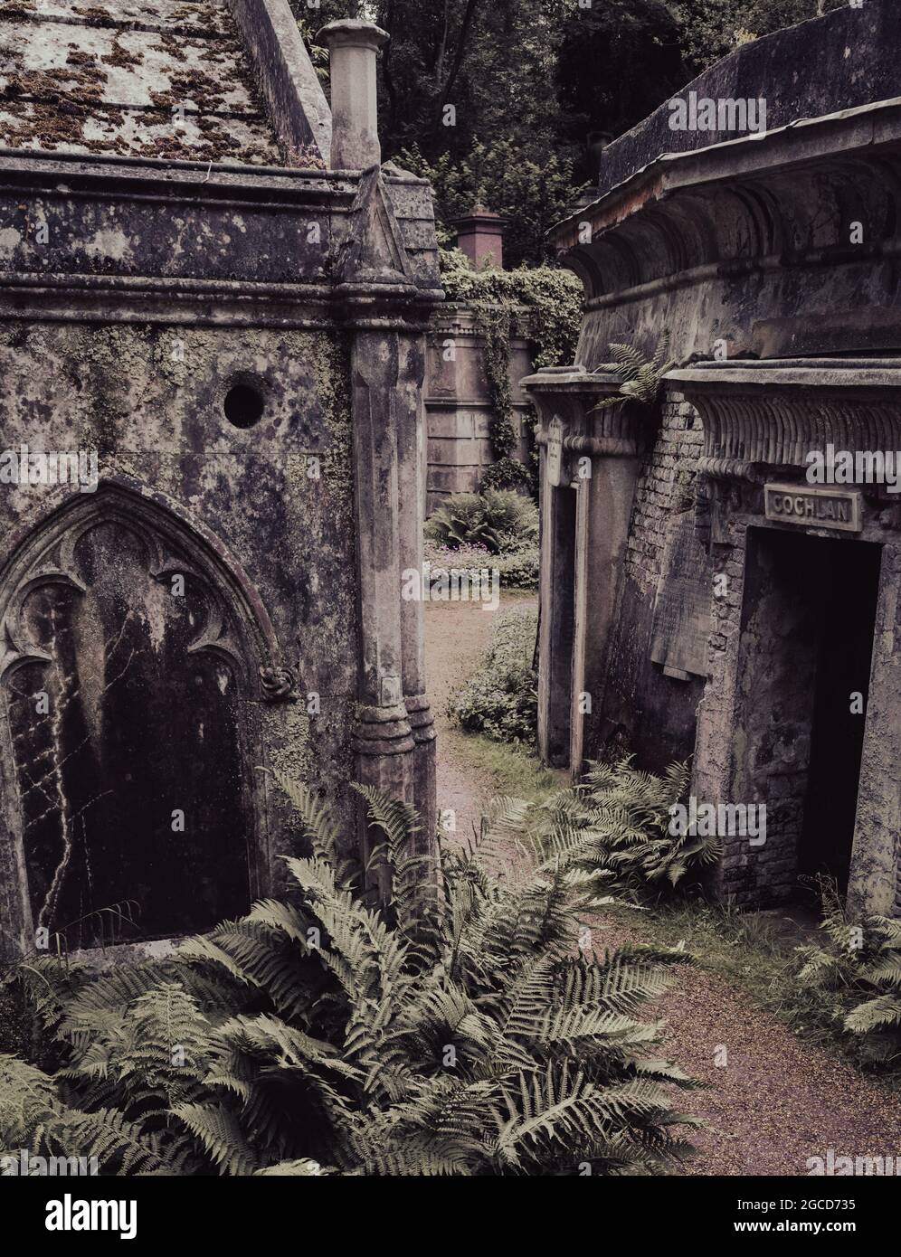 Tombe vittoriane e mausolei con felci che crescono nel cimitero storico Foto Stock