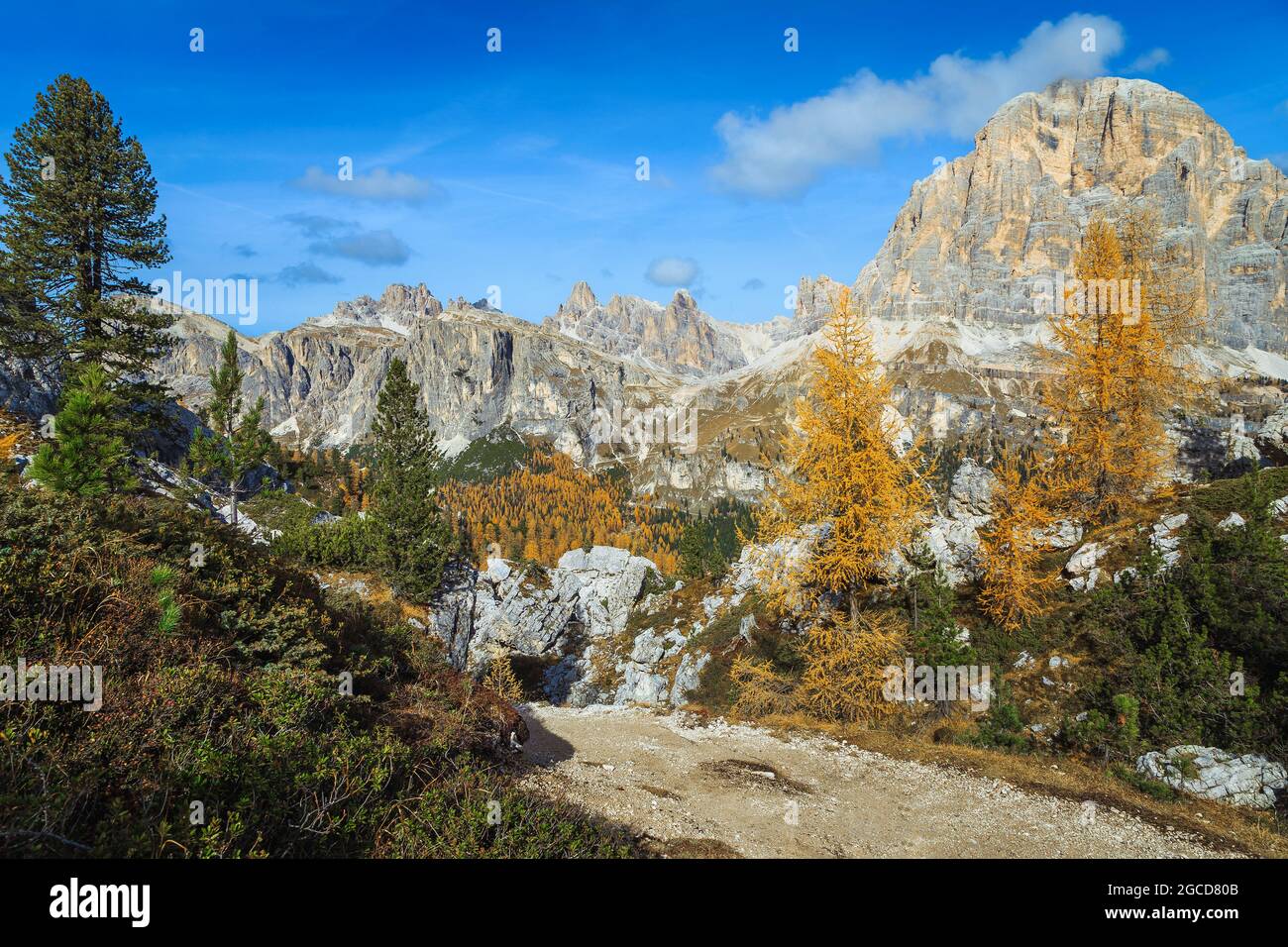 Splendido scenario alpino autunnale con larici colorate e spettacolari alte montagne nelle Dolomiti, in Italia, in Europa Foto Stock