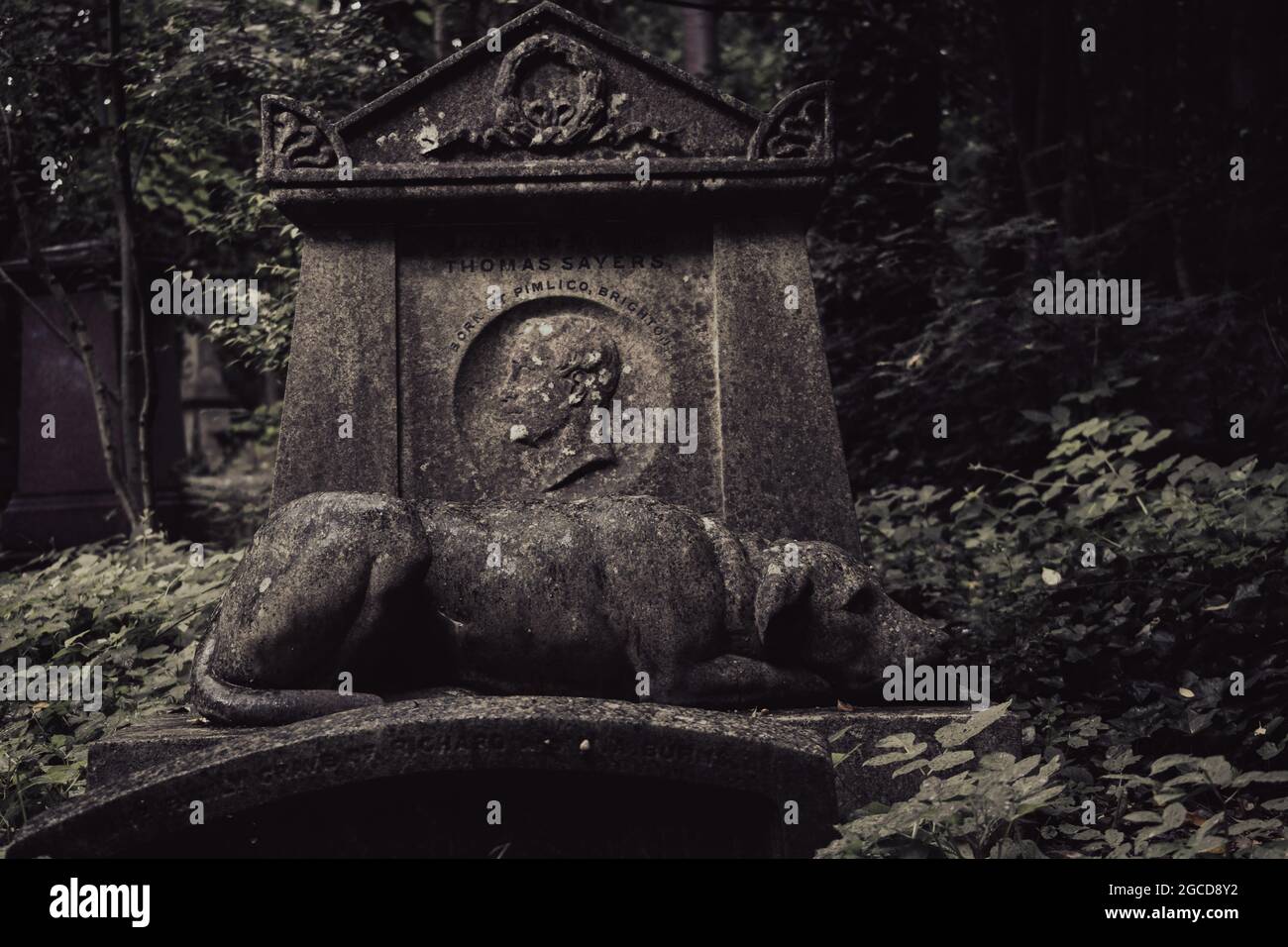 Tomba commemorativa vittoriana con scultura del leone nel cimitero di Highgate Foto Stock Tomba commemorativa vittoriana con scultura del leone nel cimitero di Highgate Foto Stock