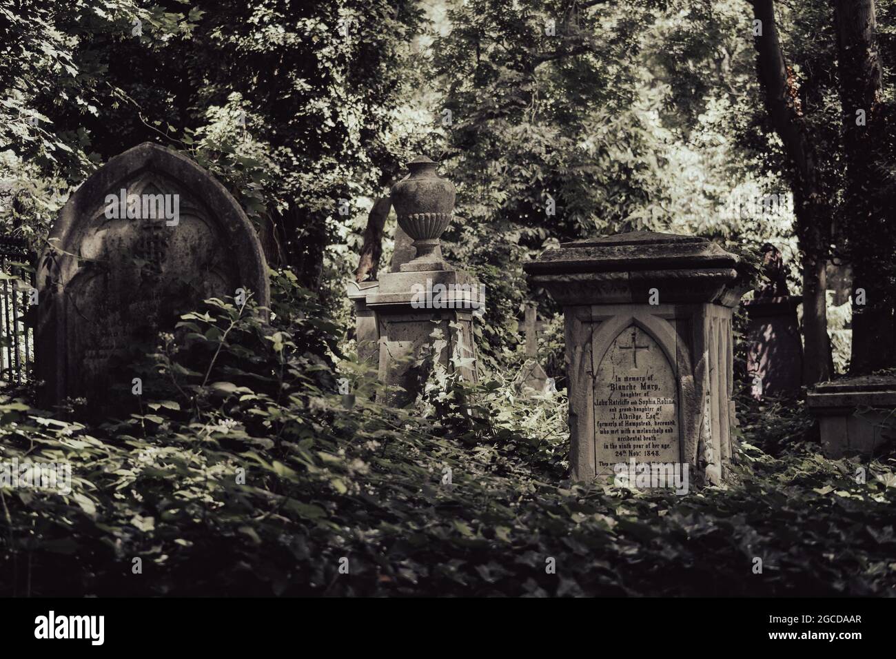 Lapidi vittoriane tra la vegetazione ricoperta nel cimitero storico Foto Stock