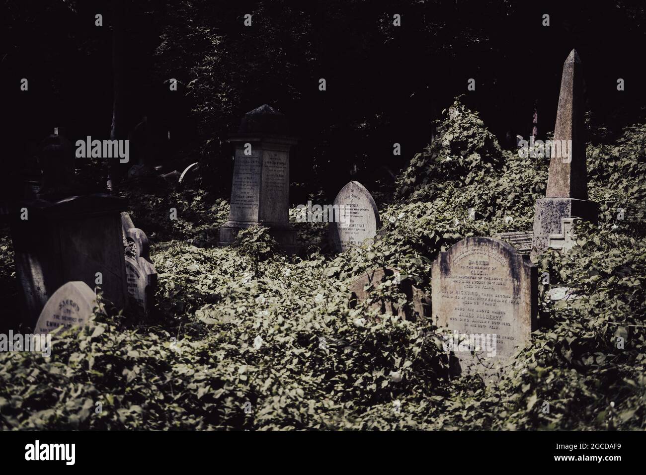 Cimitero vittoriano ricoperto di vegetazione con lapidi intemperie tra vegetazione fitta Foto Stock