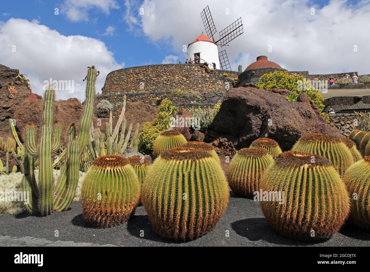 Il Jardin de Cactus (Giardino dei Cactus) a Lanzarote, Isole Canarie, Spagna Foto Stock