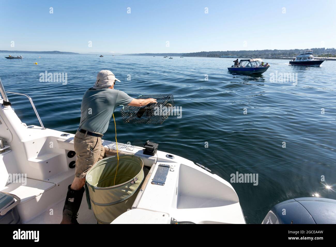 WA20278-00..... WASHINGTON - Phil Russell lascia cadere una pentola di gamberetti nel Puget Sound. Foto Stock
