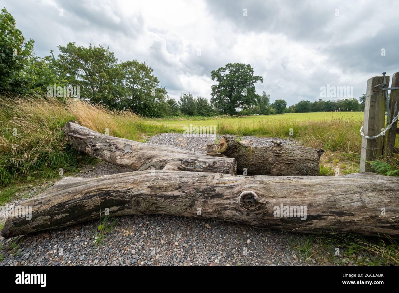 Tronchi di alberi o tronchi attraverso l'ingresso di un campo come precauzione di sicurezza, prevenzione della criminalità rurale, Regno Unito Foto Stock