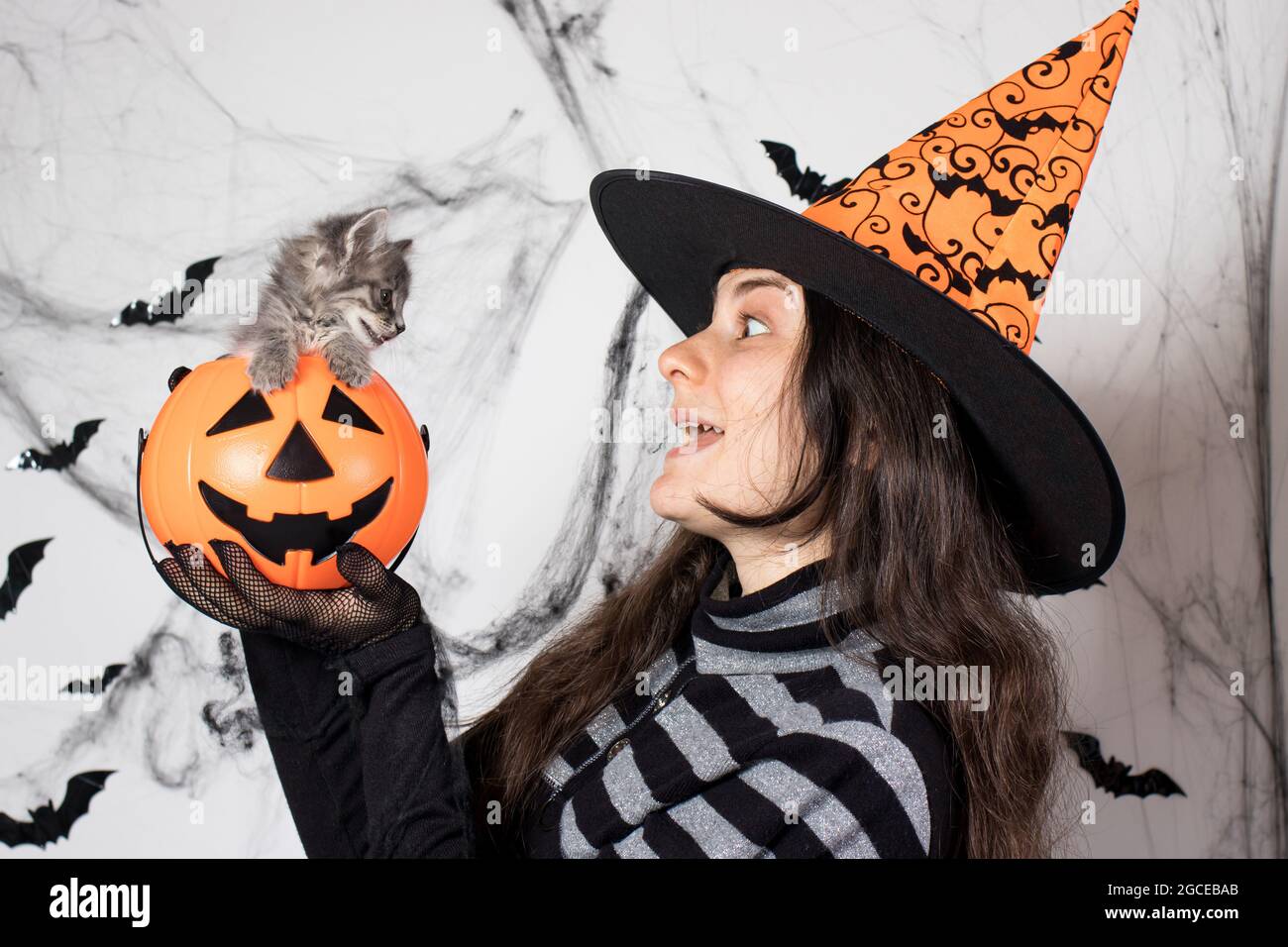 Una donna in un costume di strega in un cappello tiene una zucca secchio  con gatto. Halloween persone e animali Foto stock - Alamy