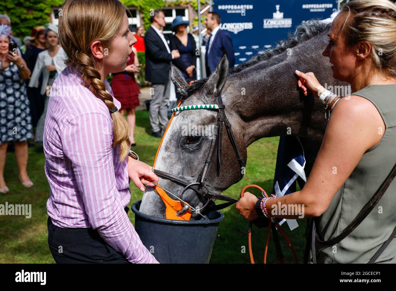 Berlino, Germania. 8 agosto 2021. Il cavallo vincente Alpinista beve acqua al 131° Gran Premio di Berlino dei Longines. Credit: Gerald Matzka/dpa/Alamy Live News Foto Stock