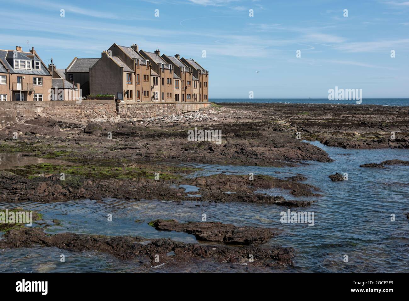 Case a destra del litorale nel villaggio di pescatori di Gourdon, Aberdeenshire, Scozia. Foto Stock