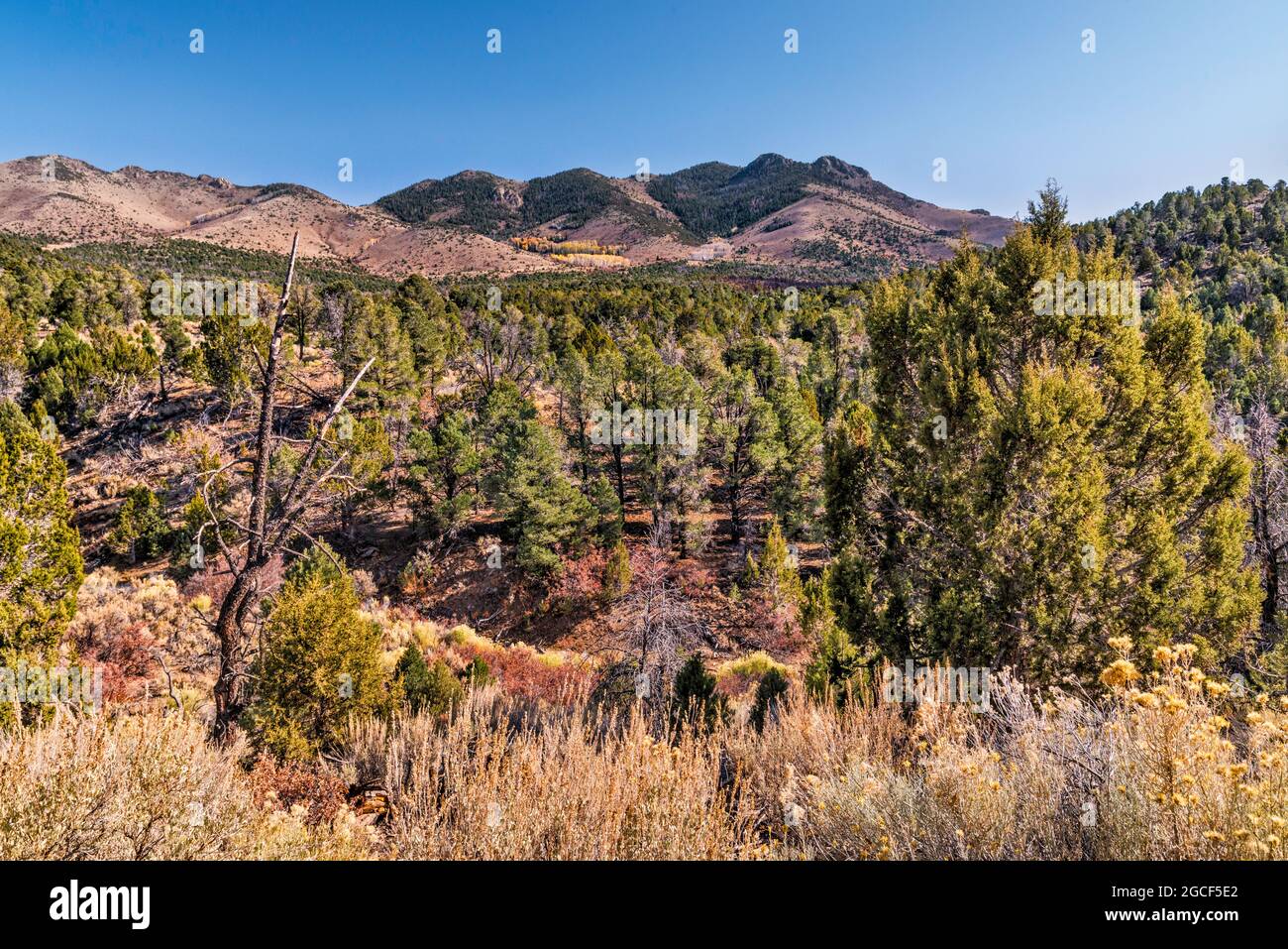 Indian Peak Range, Great Basin Desert, vicino Modena, Utah, USA Foto Stock