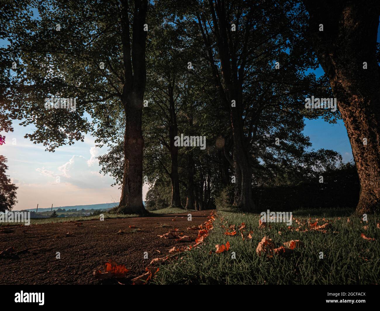 Bad Wurzach Allgäu Herbstlicher Sonnenuntergang im Park Foto Stock