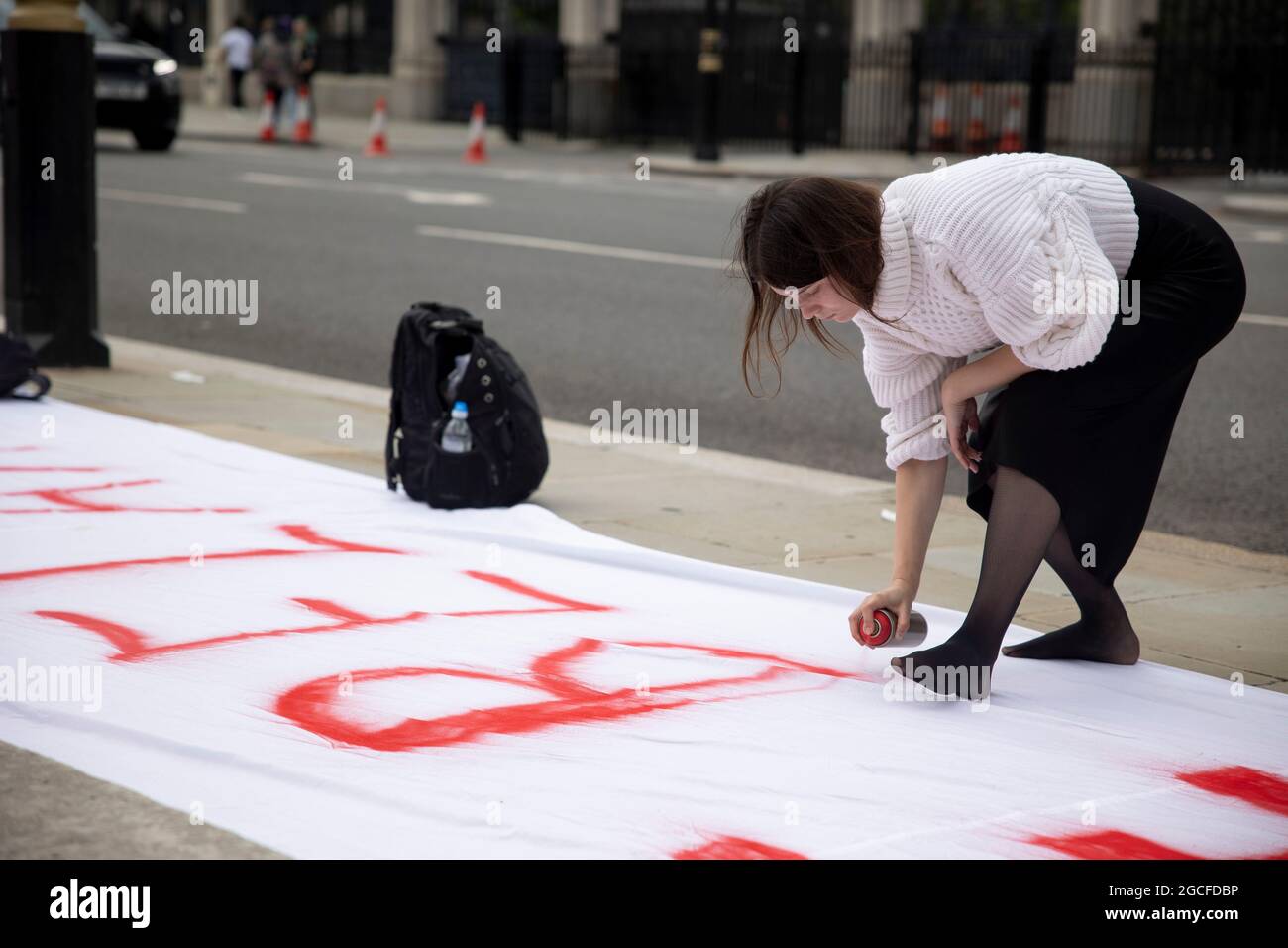 Londra, Regno Unito. 8 agosto 2021. Durante la dimostrazione, un dimostratore spruzzi la "Bielorussia libera" su un banner bianco. Un piccolo gruppo di manifestanti si è riunito in Piazza del Parlamento per un raduno di solidarietà con i prigionieri politici in Bielorussia. Il presidente Alexander Lukashenko è stato rieletto l'anno scorso con una maggioranza del 80% di voti, tuttavia, le comunità internazionali hanno creduto di aver vinto la presidenza sopprimendo l'opposizione e lo hanno nominato l'ultimo dittatore in Europa. Credit: SOPA Images Limited/Alamy Live News Foto Stock