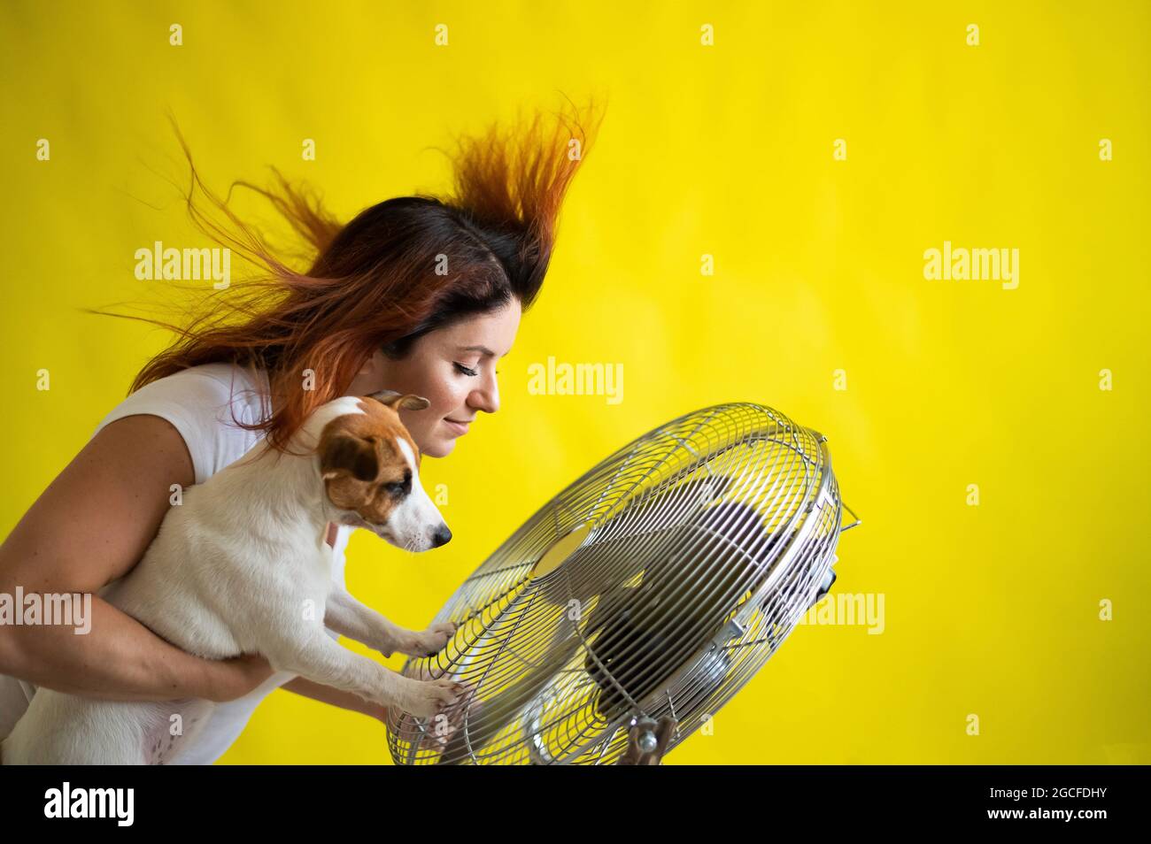 Bella donna caucasica e un cane si raffreddano da un ventilatore elettrico. Una ragazza con il suo animale domestico Jack Russell Terrier rinfrescare al condizionatore d'aria Foto Stock