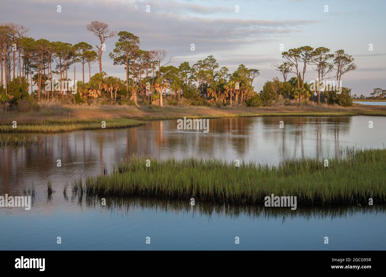 Scena tranquilla di St. Joseph Bay, Florida Foto Stock
