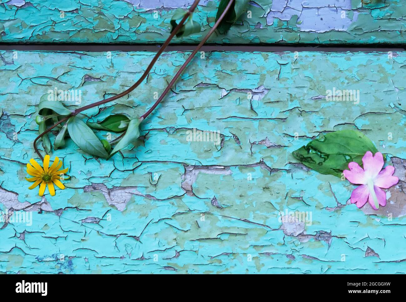 Dipingere fiori immagini e fotografie stock ad alta risoluzione - Alamy