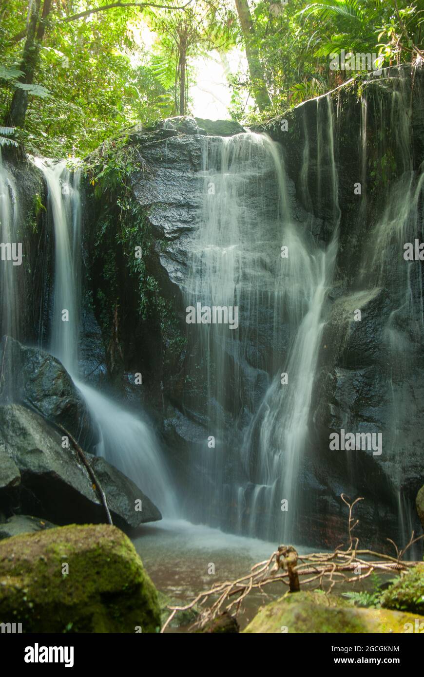 Vision Falls, Lago Eacham, Atherton Tablelands, Australia Foto Stock