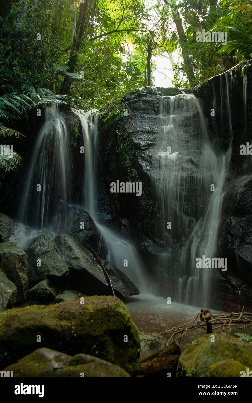 Vision Falls, Lago Eacham, Atherton Tablelands, Australia Foto Stock