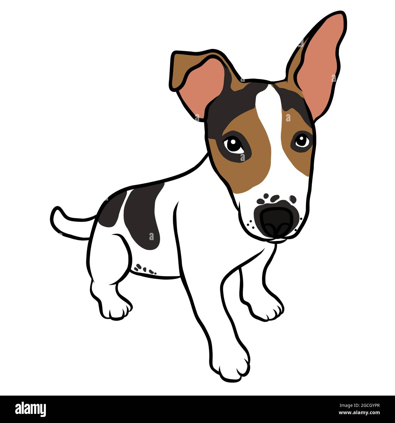 Jack Russell cucciolo cane ritratto cartoon vettore illustrazione Illustrazione Vettoriale