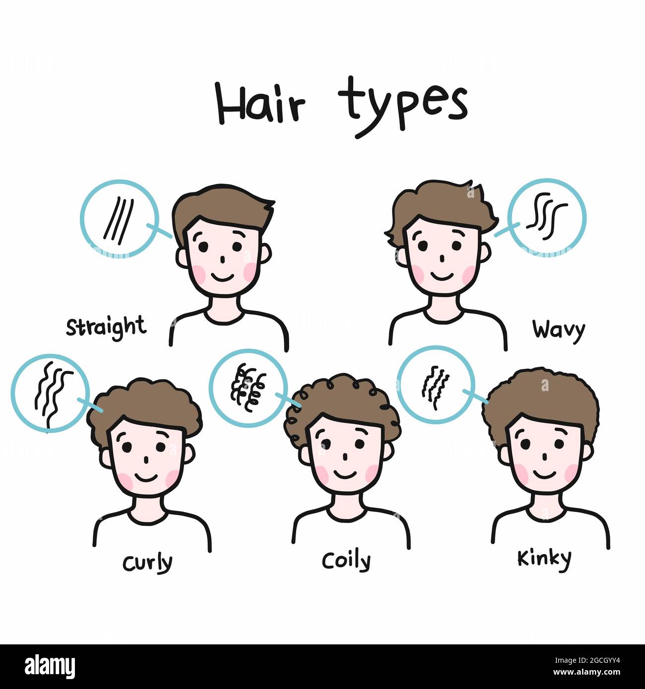 Uomo capelli tipi cartoon vettore infografica illustrazione Illustrazione Vettoriale